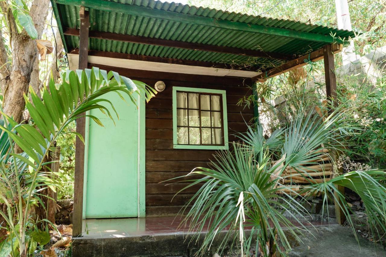 Hotel Selvazul La Laguna エクステリア 写真